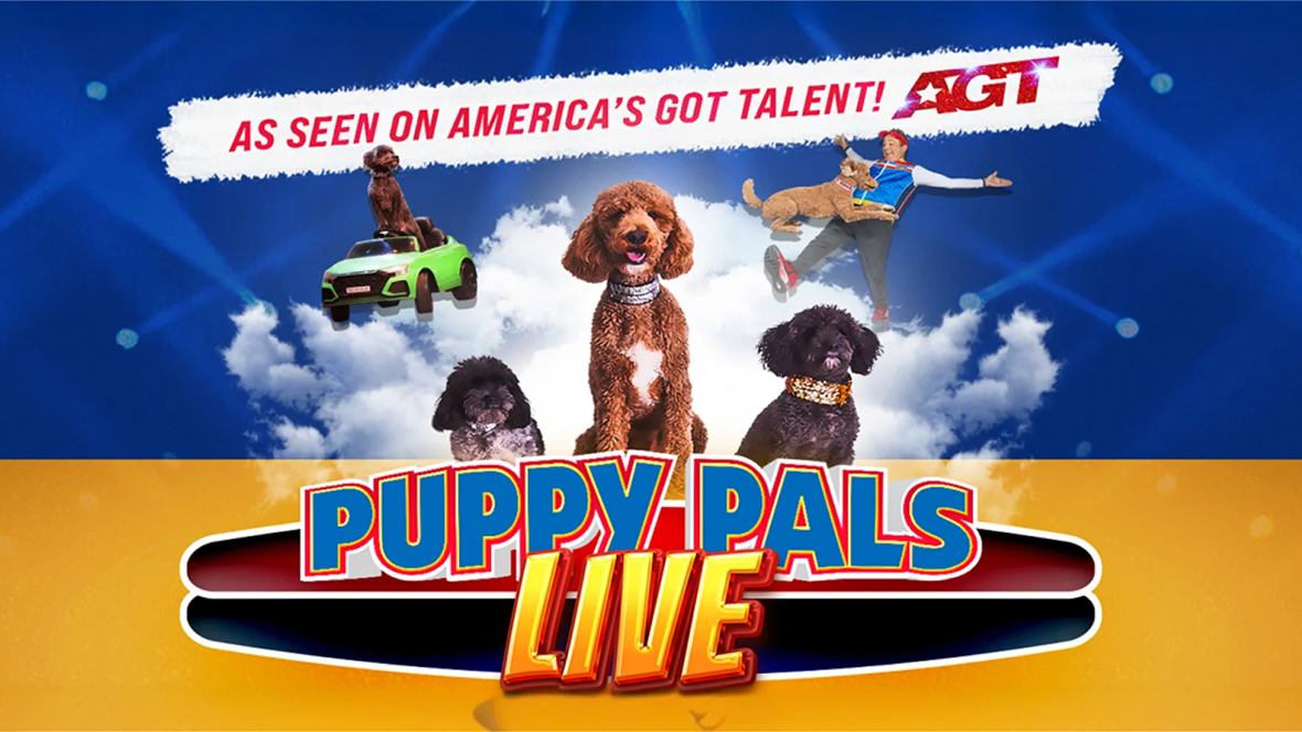 Puppy Pals